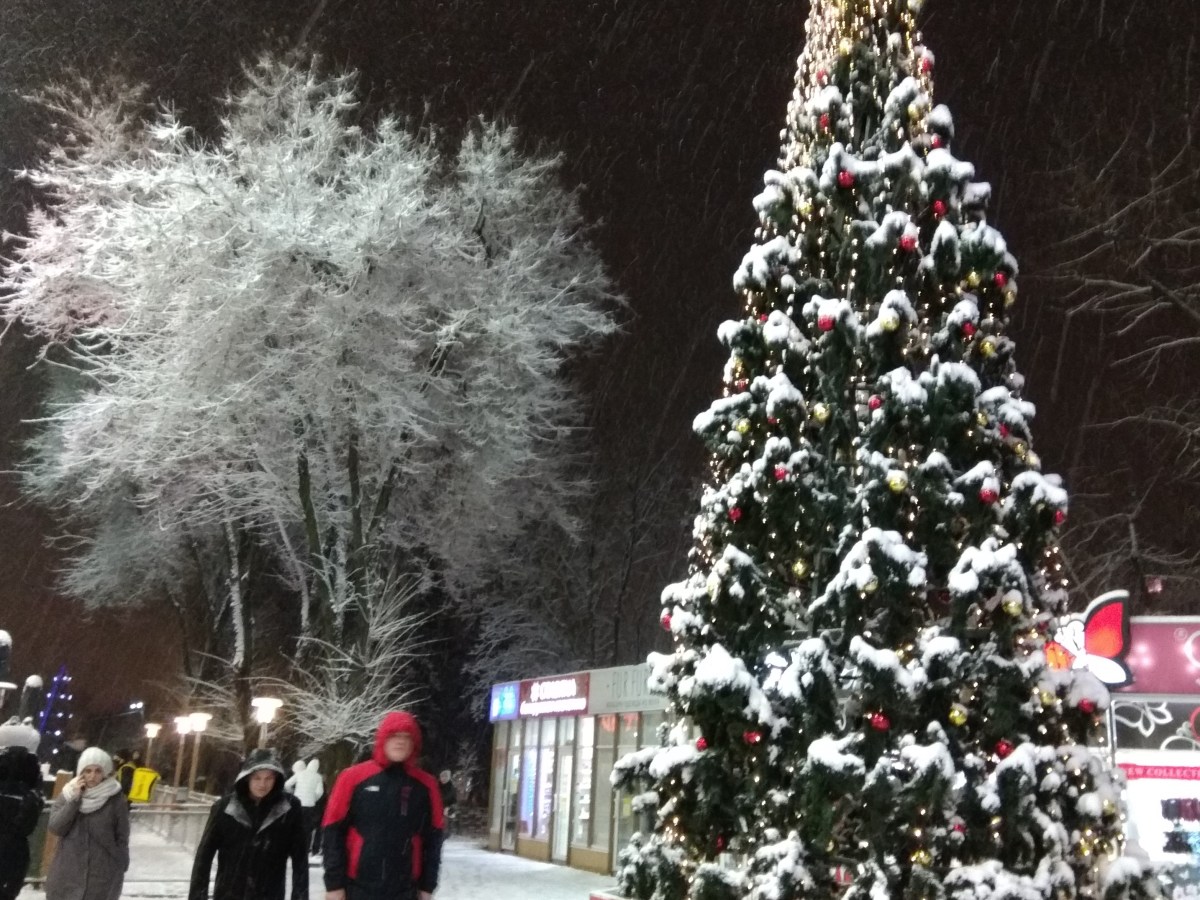 С наступающим Новым годом!&nbsp;よいお年をお迎えください！￼