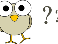 言葉の不思議１￼